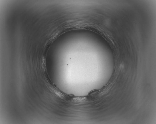 X0000062850480200601130926