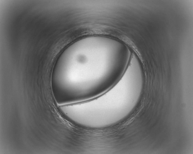 X0000062850481200601130925