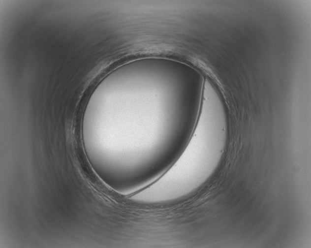 X0000062850483200601130925