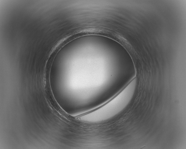 X0000062850484200601130925