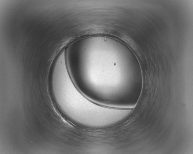 X0000062850485200601130925