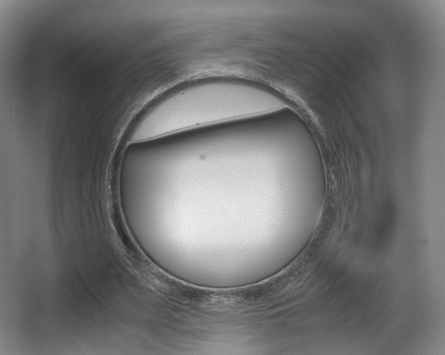 X0000062850487200601130925