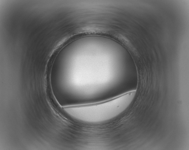 X0000062850488200601130925