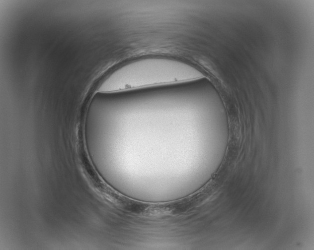 X0000062850491200601130925