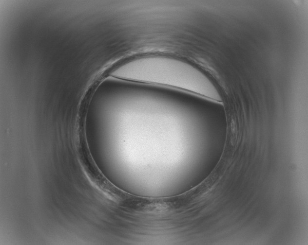 X0000062850492200601130925