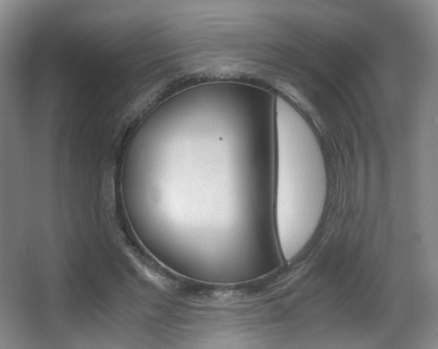 X0000062850493200601130925