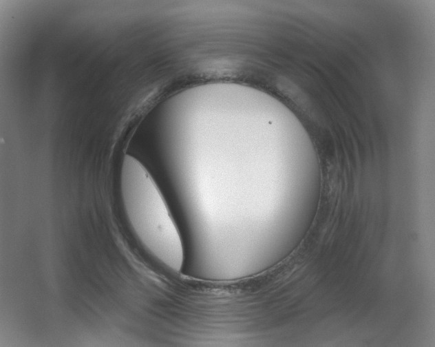 X0000062850494200601130925