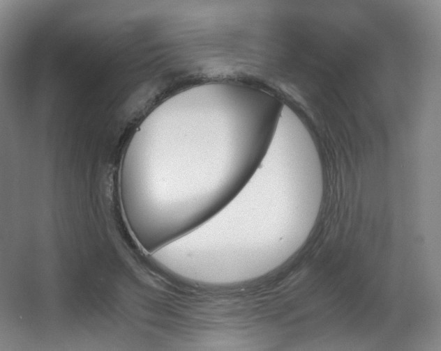 X0000062850495200601130925