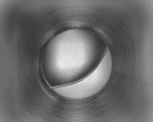 X0000062850496200601130925