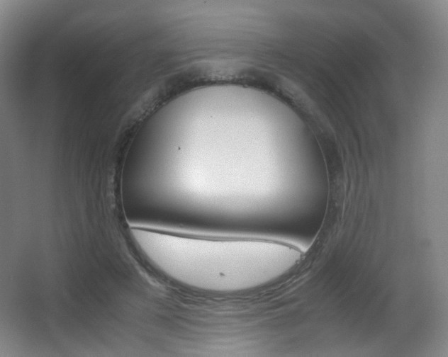 X0000062850497200601130925