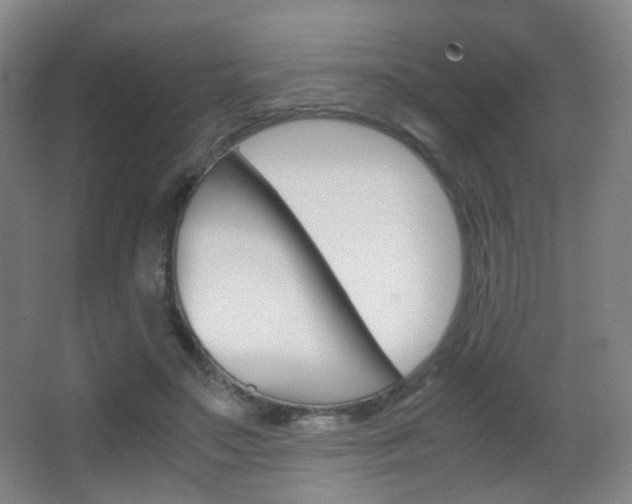 X0000062850499200601130925