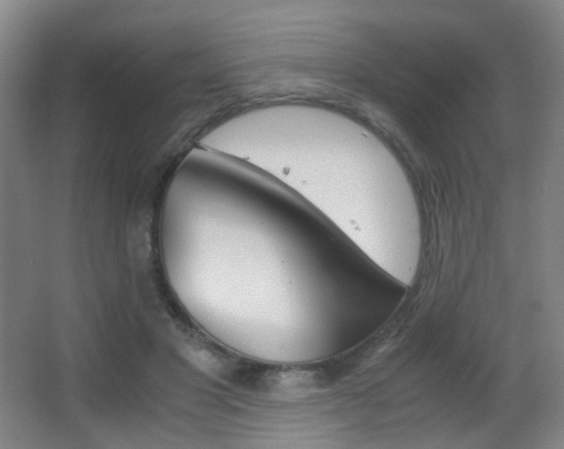 X0000062850501200601130925