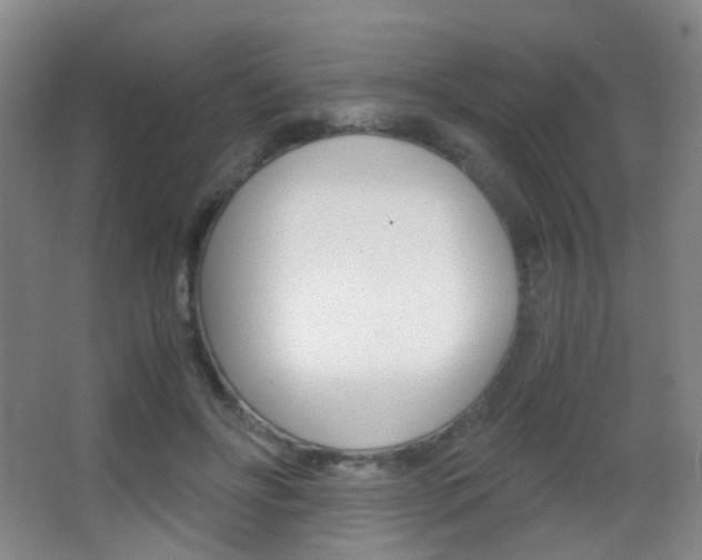 X0000062850502200601130925