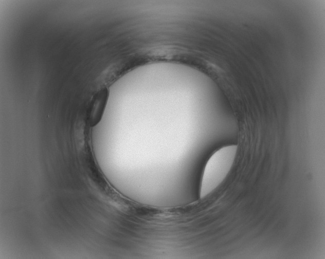 X0000062850504200601130924
