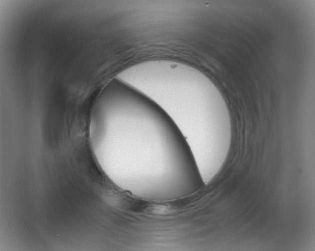 X0000062850507200601130924