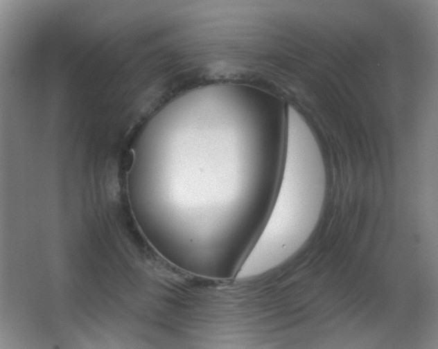 X0000062850508200601130924