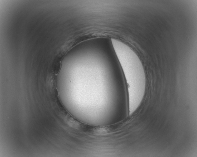 X0000062850513200601130924