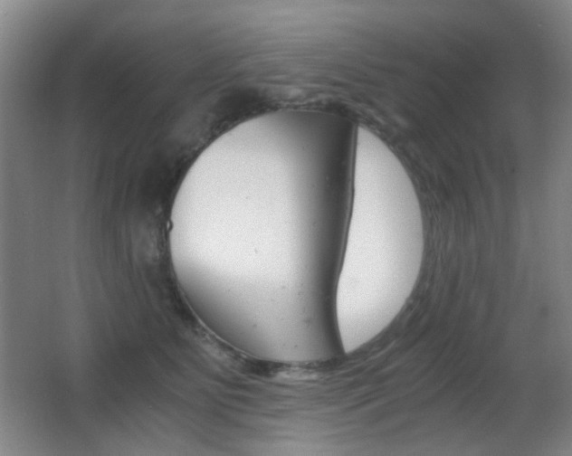 X0000062850515200601130924