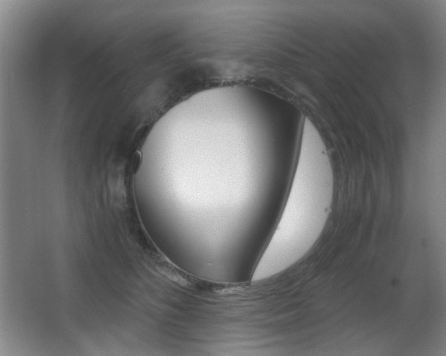 X0000062850516200601130924