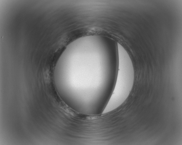 X0000062850520200601130924