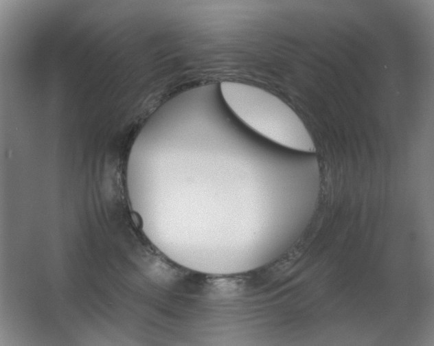 X0000062850522200601130924