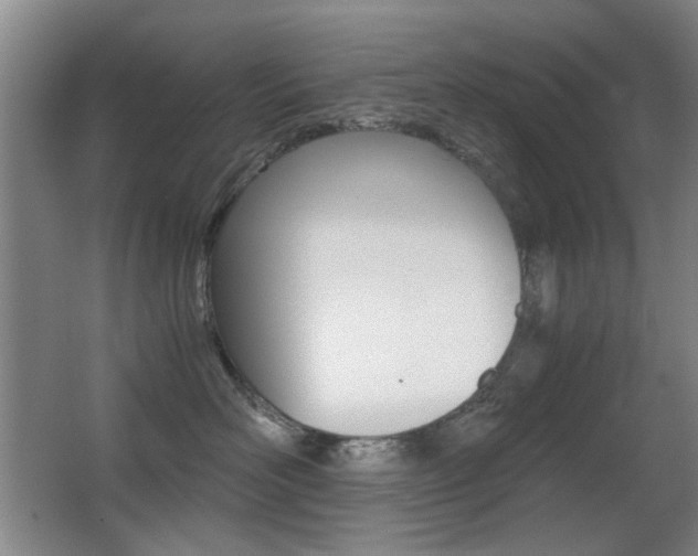 X0000062850526200601130924