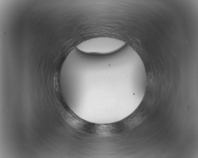 X0000062850527200601130924