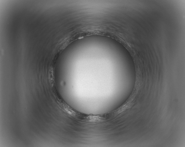 X0000062850528200601130924