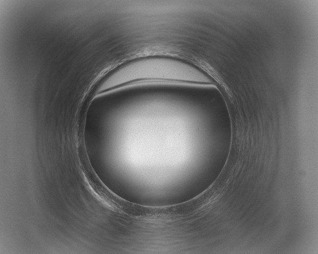 X0000062850530200601130923