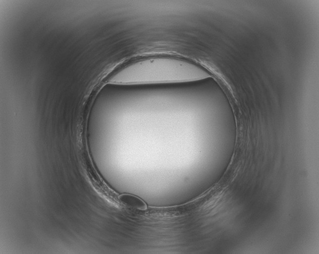 X0000062850533200601130923