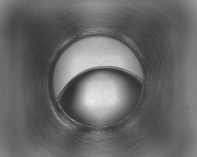 X0000062850538200601130923