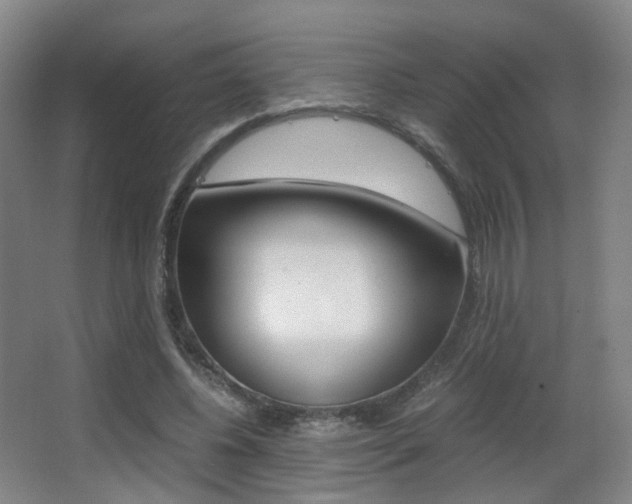 X0000062850540200601130923