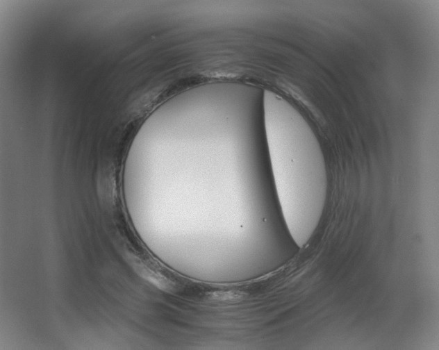 X0000062850541200601130923