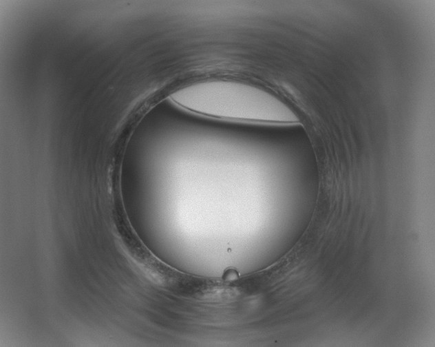 X0000062850543200601130923