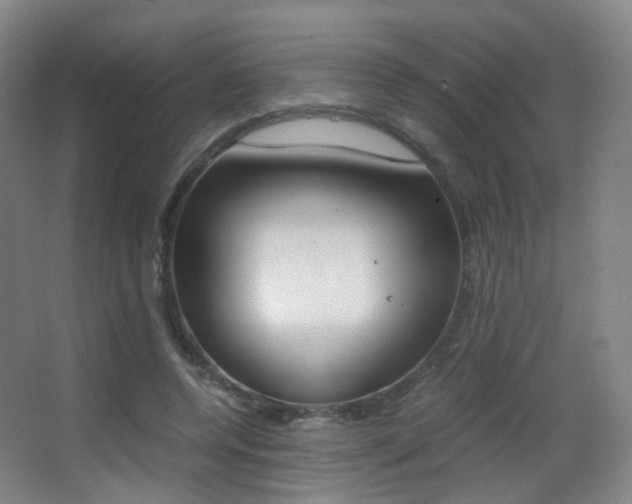 X0000062850544200601130923