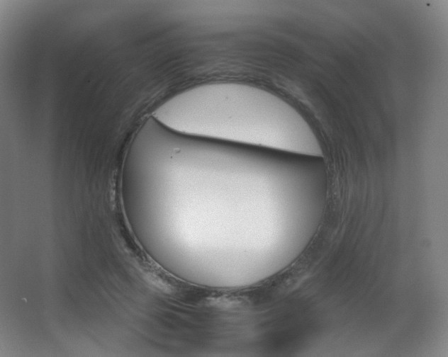 X0000062850545200601130924
