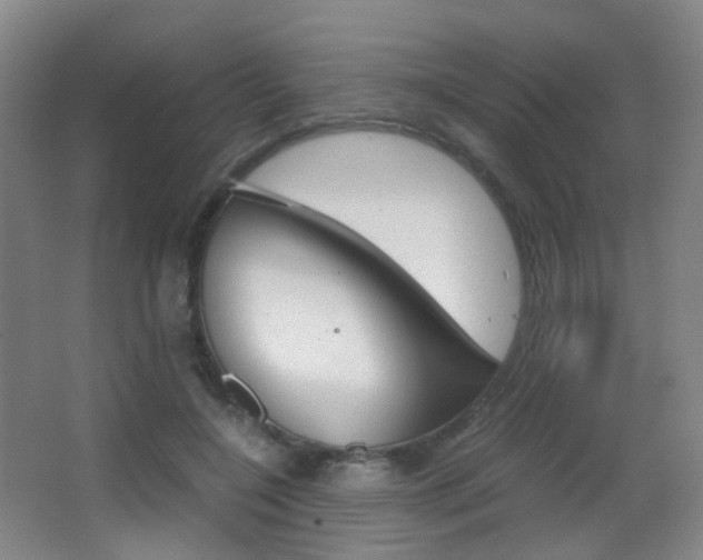 X0000062850548200601130924