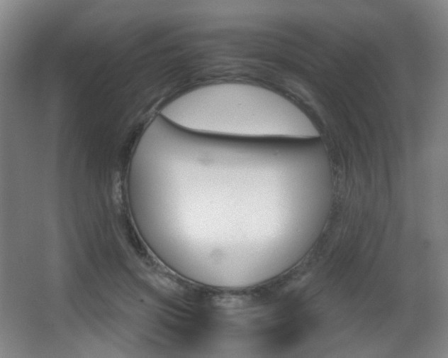 X0000062850549200601130924