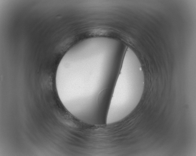 X0000062850551200601130924