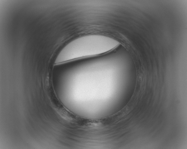 X0000062850552200601130924