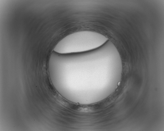 X0000062850557200601130924