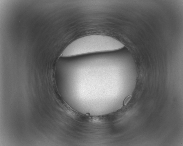 X0000062850565200601130924