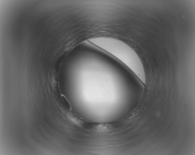 X0000062850566200601130924