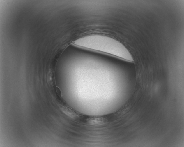 X0000062850567200601130924