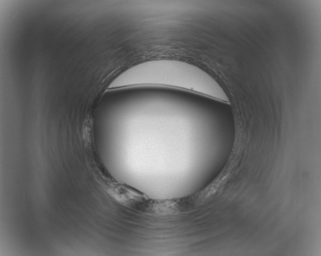 X0000062850576200601130924