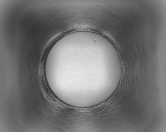 X0000062850583200601130923