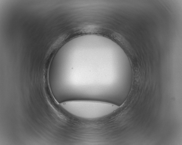 X0000062850586200601130923