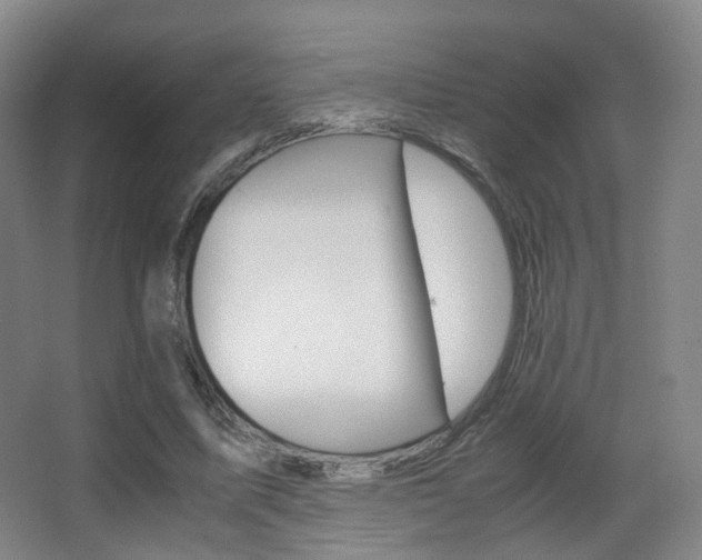X0000062850587200601130923