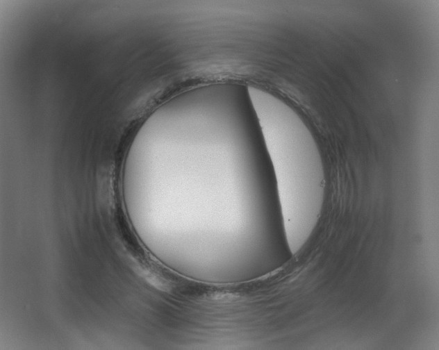 X0000062850590200601130923