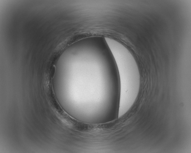 X0000062850593200601130923